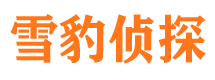 索县捉小三公司